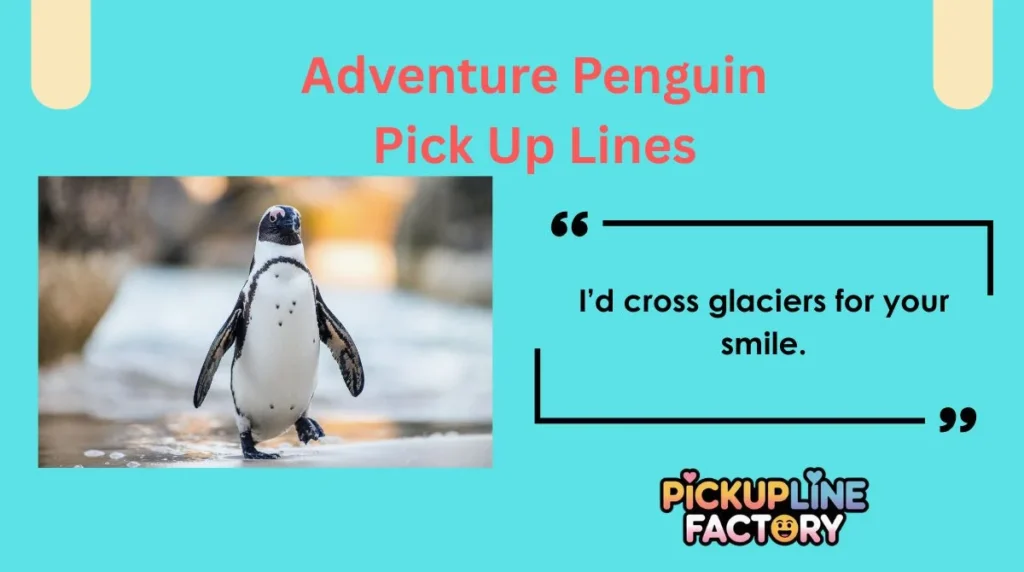 Adventure Penguin Pick Up Lines