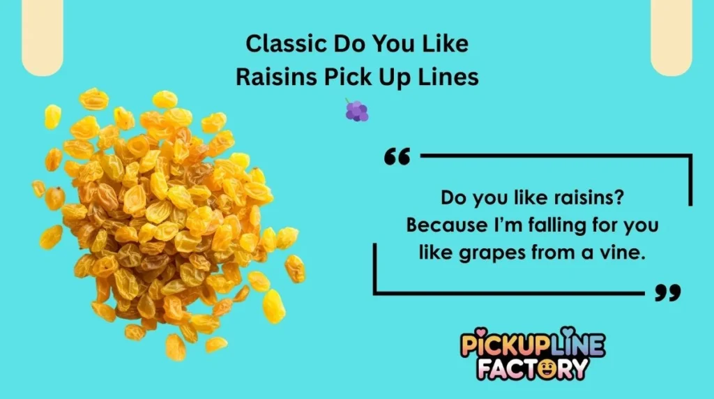 Classic Do You Like Raisins Pick Up Lines 🍇