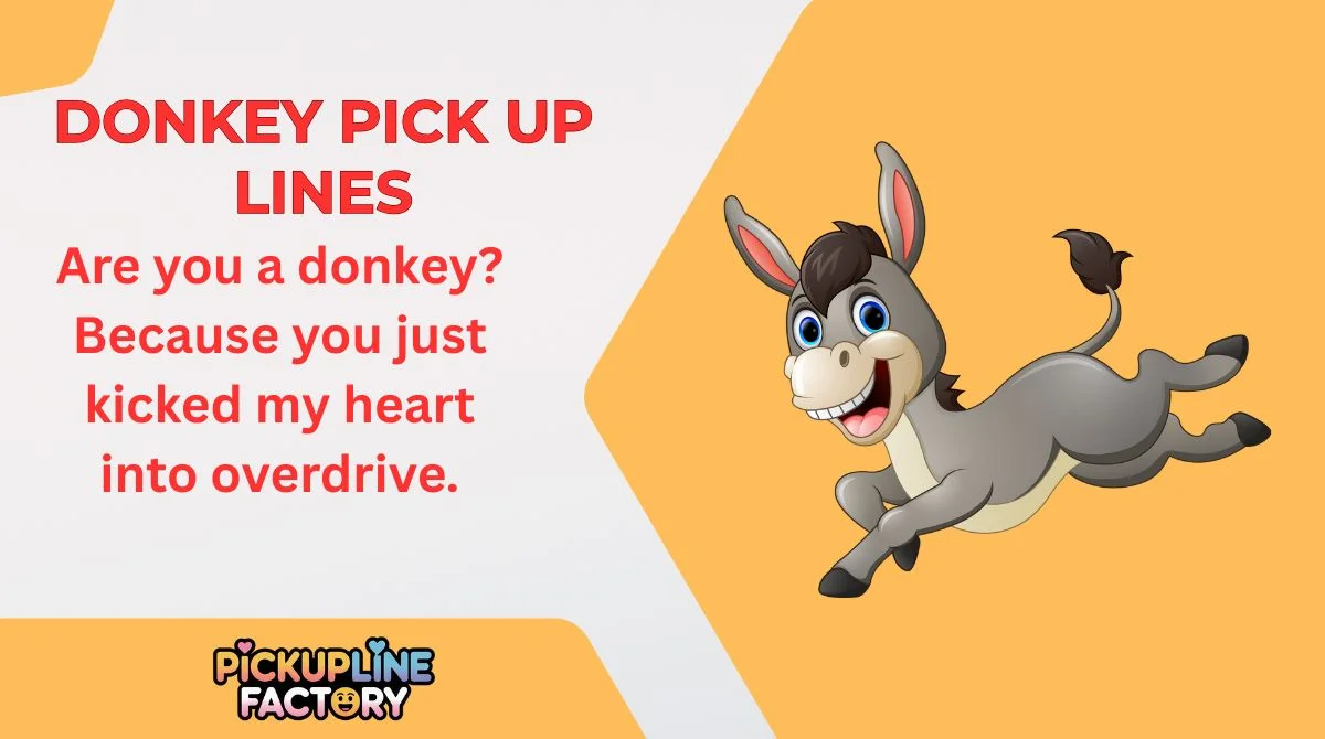 Donkey Pick Up Lines
