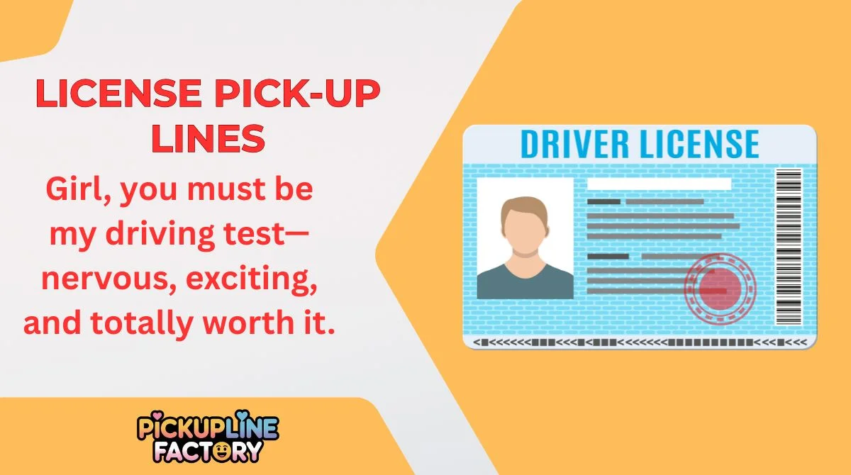 License Pick-Up Lines