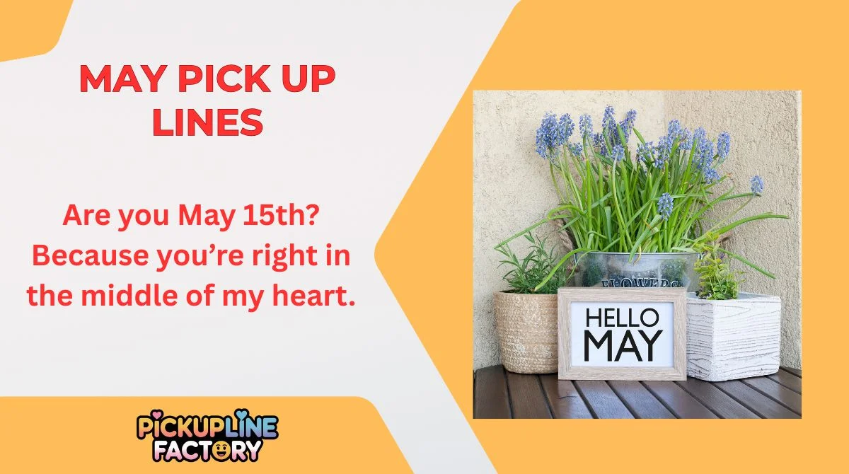 May Pick Up Lines