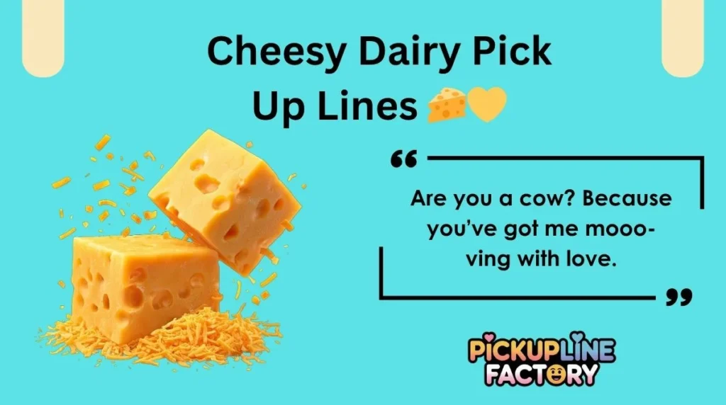 Cheesy Dairy Pick Up Lines 🧀💛