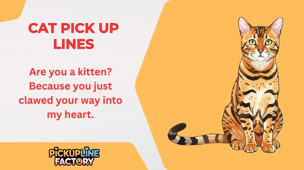 Cat Pick Up Lines