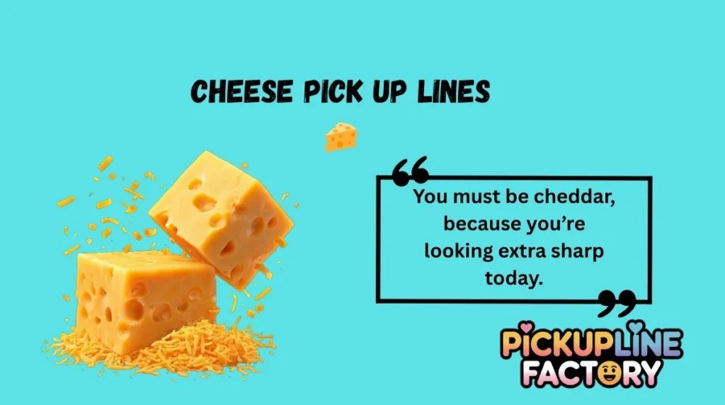 Cheese Pick Up Lines 🧀