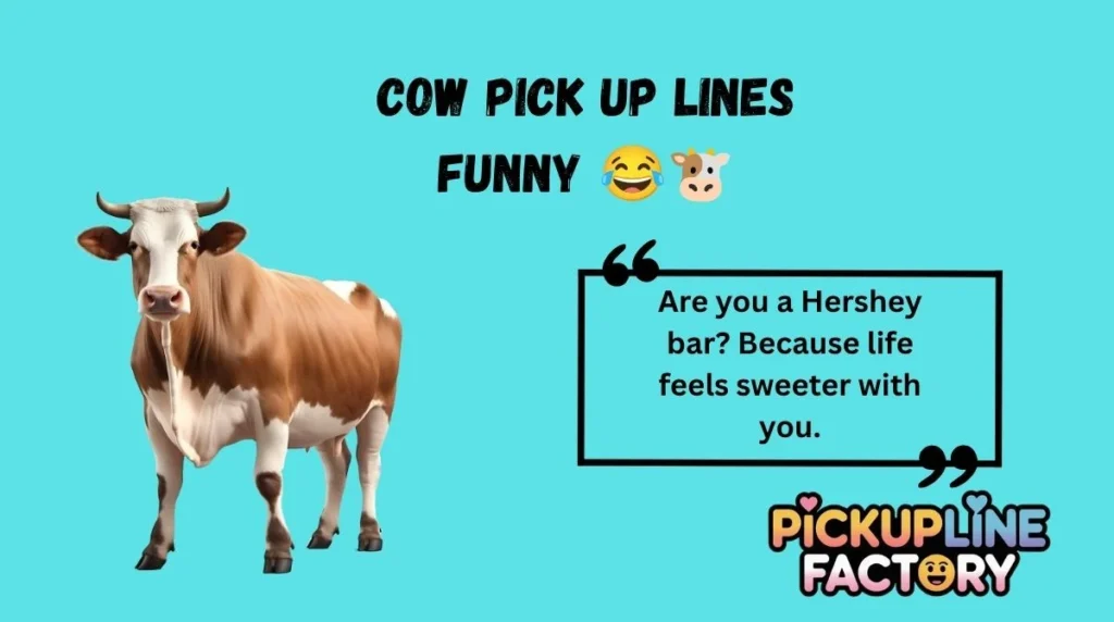 Cow Pick Up Lines Funny 😂🐮