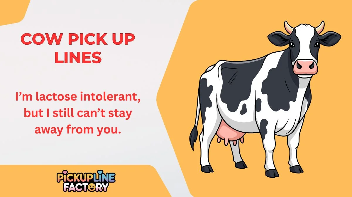 Cow Pick Up Lines