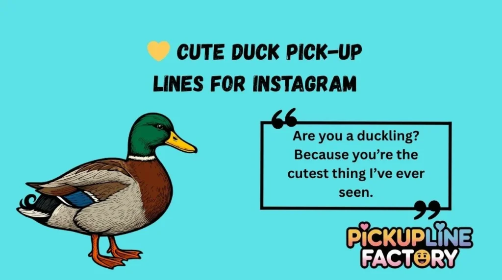 💛 Cute Duck Pick-Up Lines for Instagram