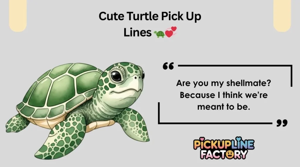 Cute Turtle Pick Up Lines 🐢💞