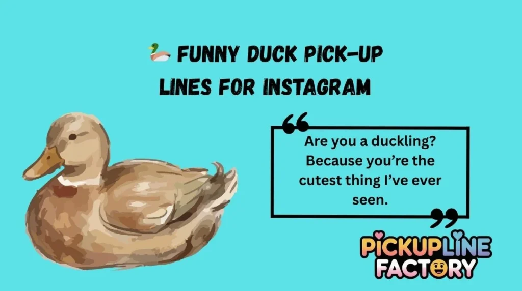 🦆 Funny Duck Pick-Up Lines for Instagram