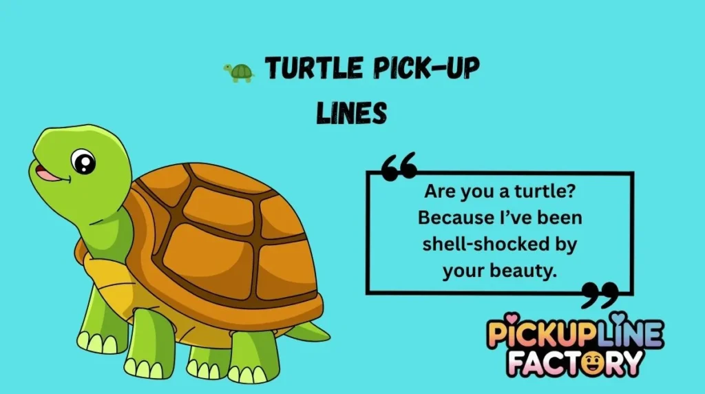 đ˘ Turtle Pick-Up Lines