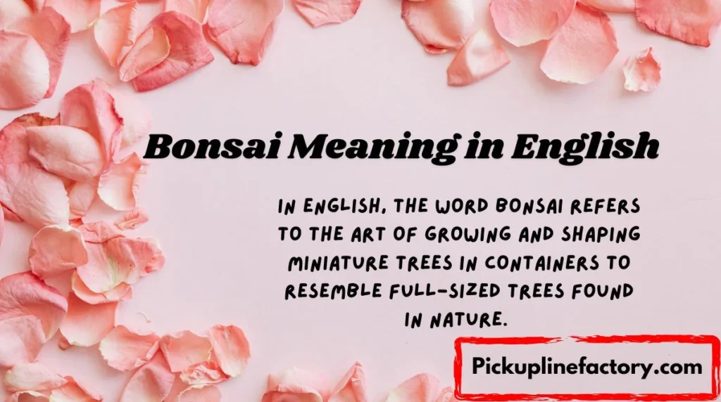 Bonsai Meaning in English