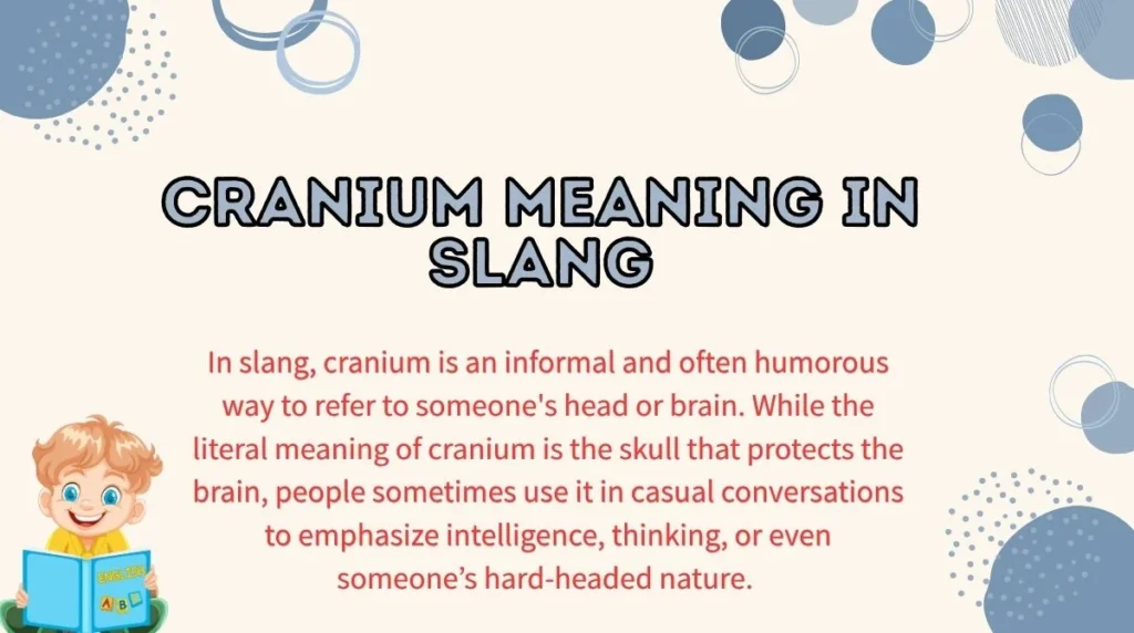 Cranium Meaning in Slang