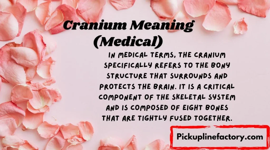 Cranium Meaning (Medical)