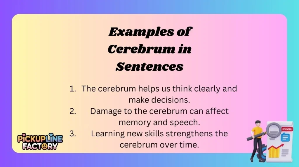 Examples of Cerebrum in Sentences