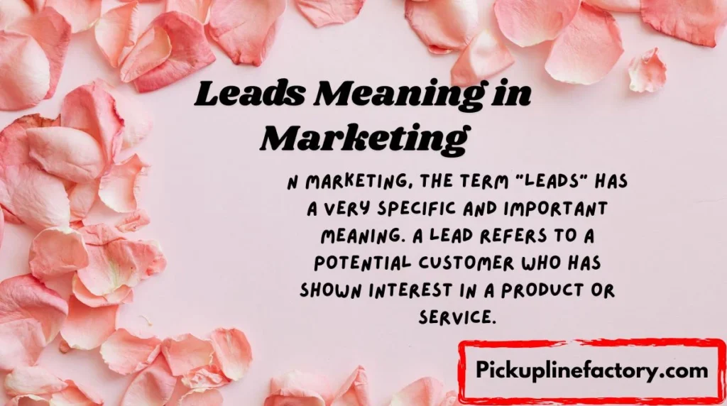 Leads Meaning in Marketing