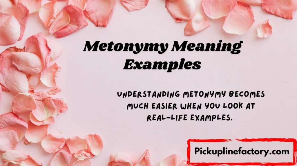 Metonymy Meaning Examples