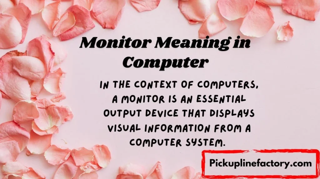 Monitor Meaning in Computer