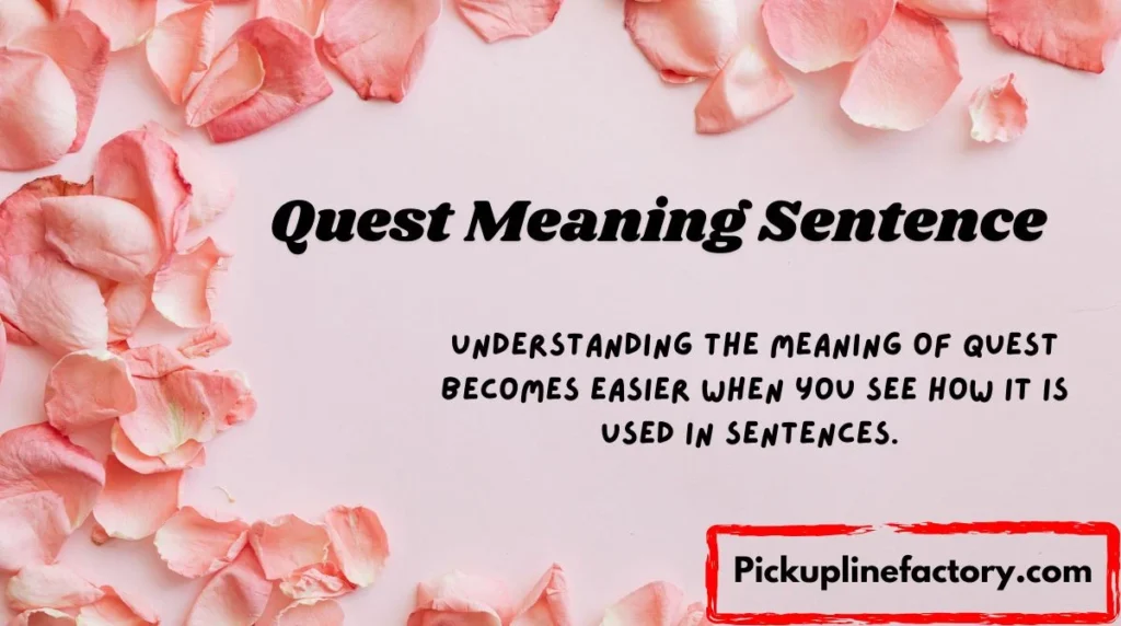 Quest Meaning Sentence