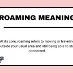 Roaming Meaning