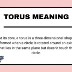 Torus Meaning