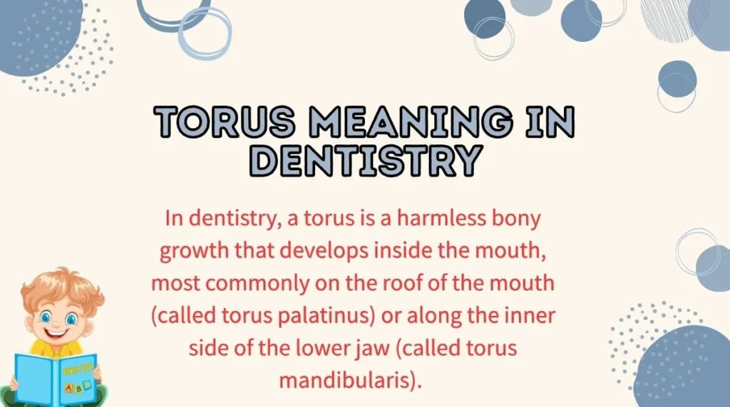 Torus Meaning in Dentistry