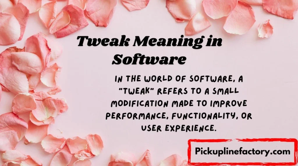 Tweak Meaning in Software