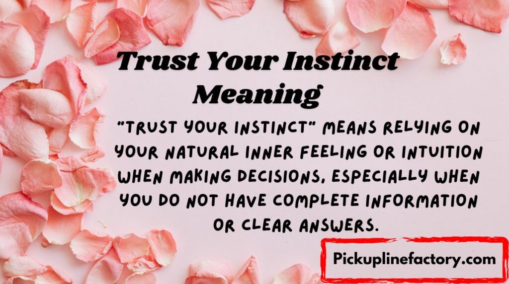 Trust Your Instinct Meaning