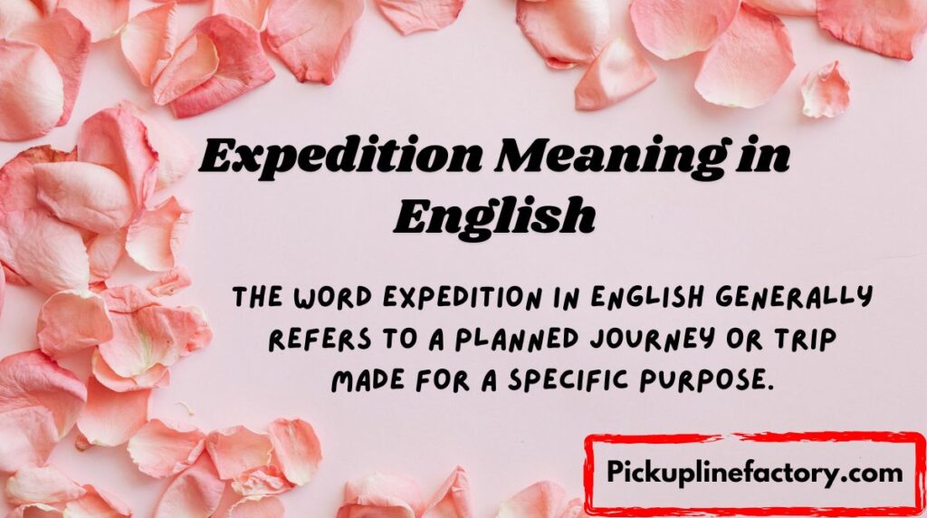 Expedition Meaning in English