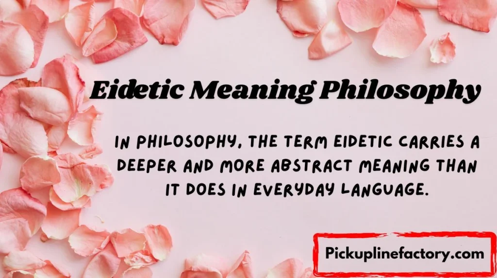 Eidetic Meaning Philosophy