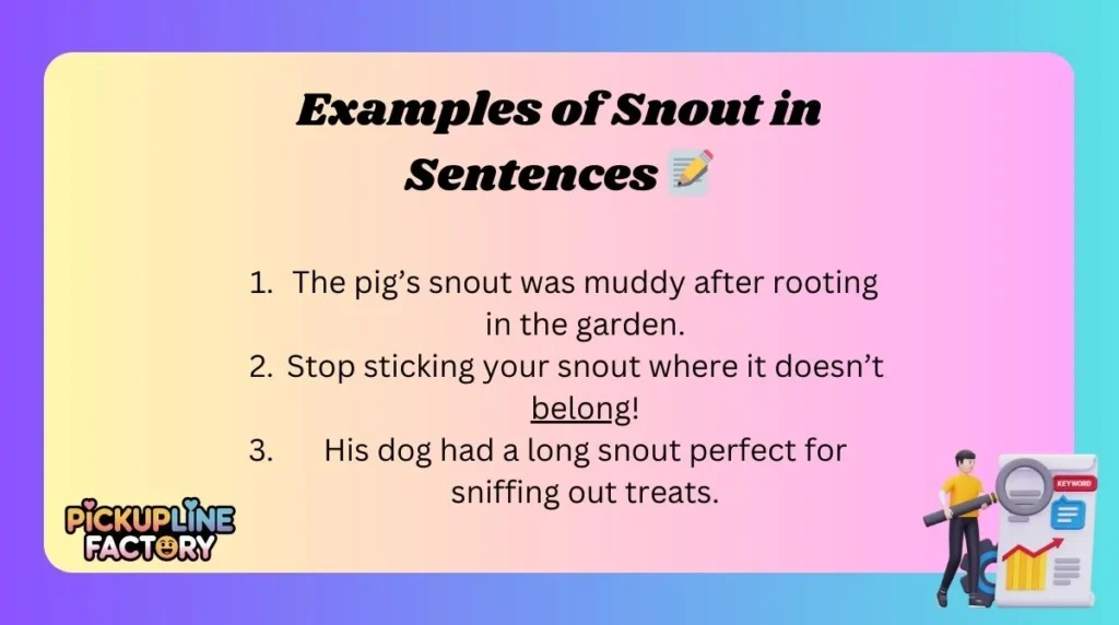 Examples of Snout in Sentences 📝