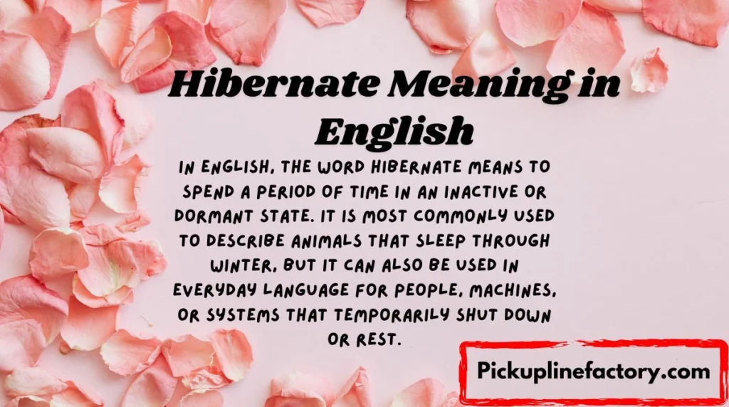 Hibernate Meaning in English