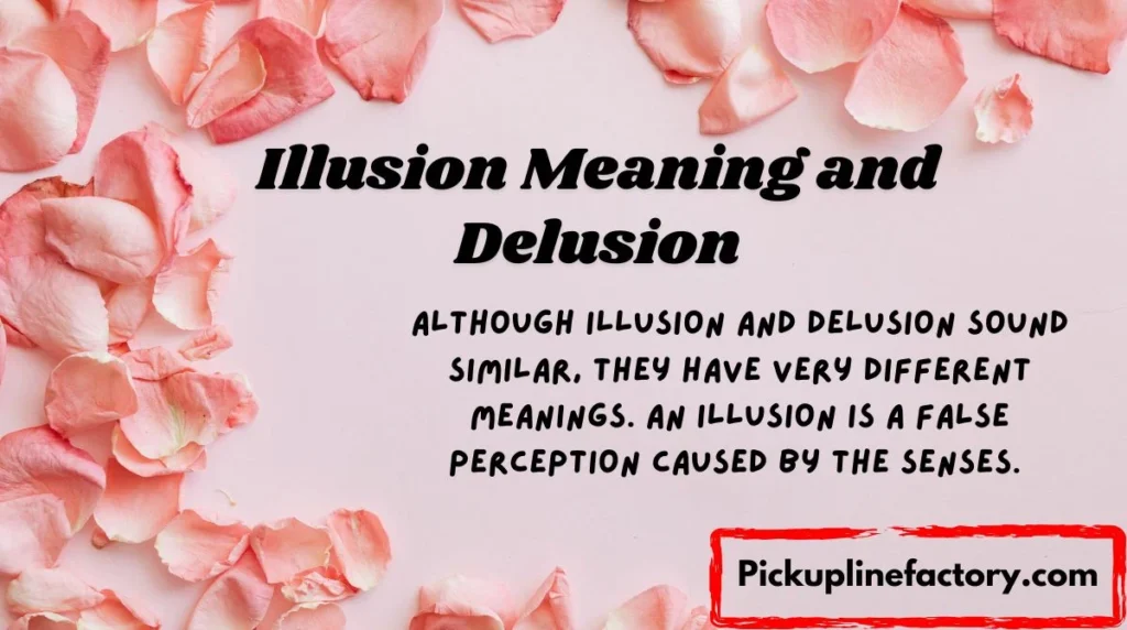 Illusion Meaning and Delusion