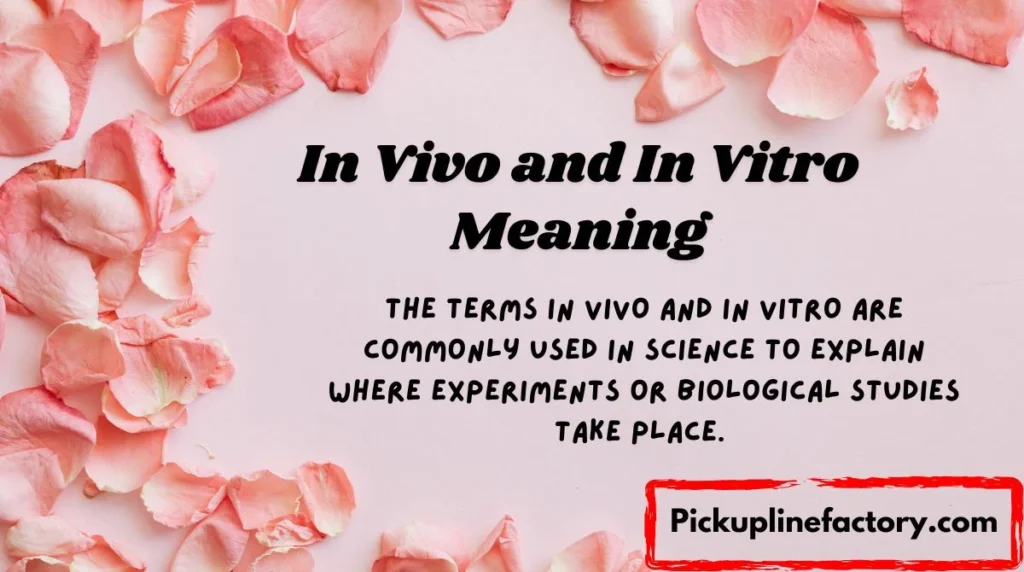 In Vivo and In Vitro Meaning