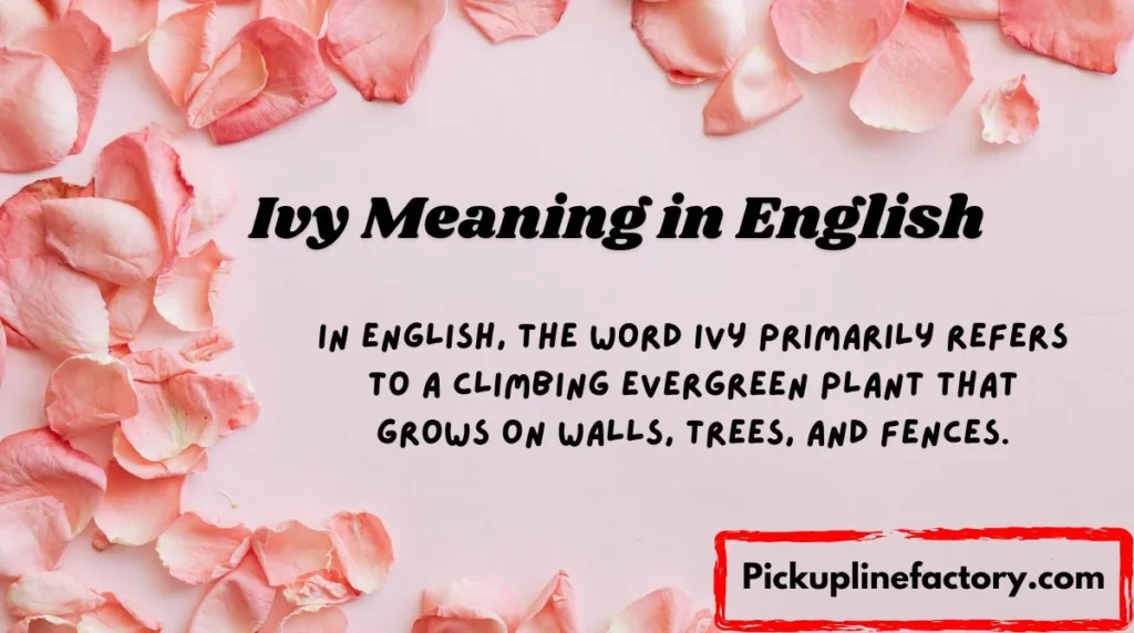 Ivy Meaning in English