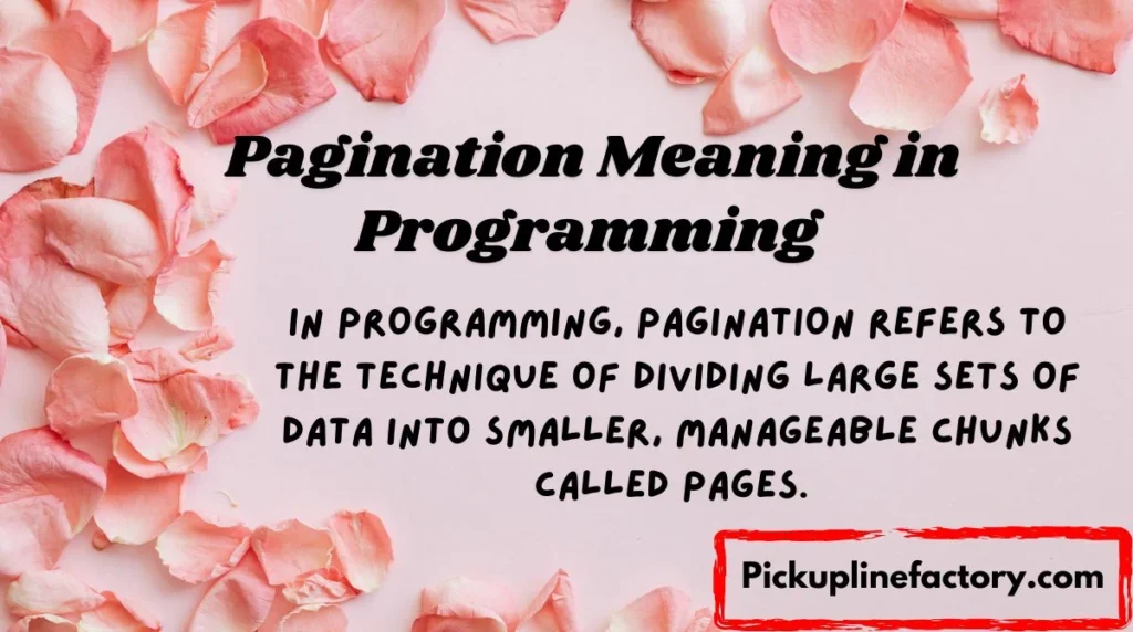 Pagination Meaning in Programming