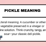 Pickle Meaning