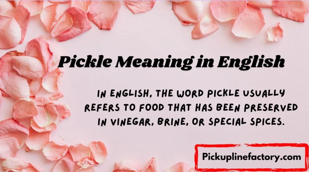 Pickle Meaning in English