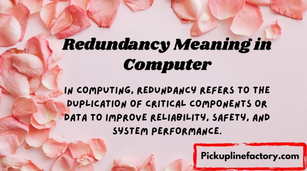 Redundancy Meaning in Computer