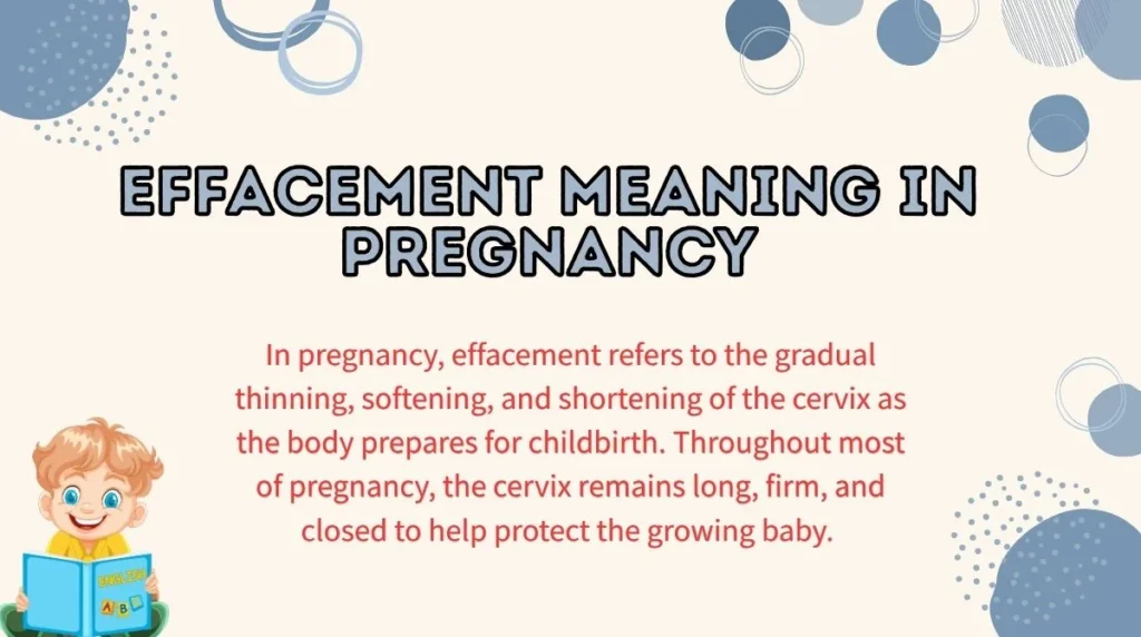 Effacement Meaning in Pregnancy