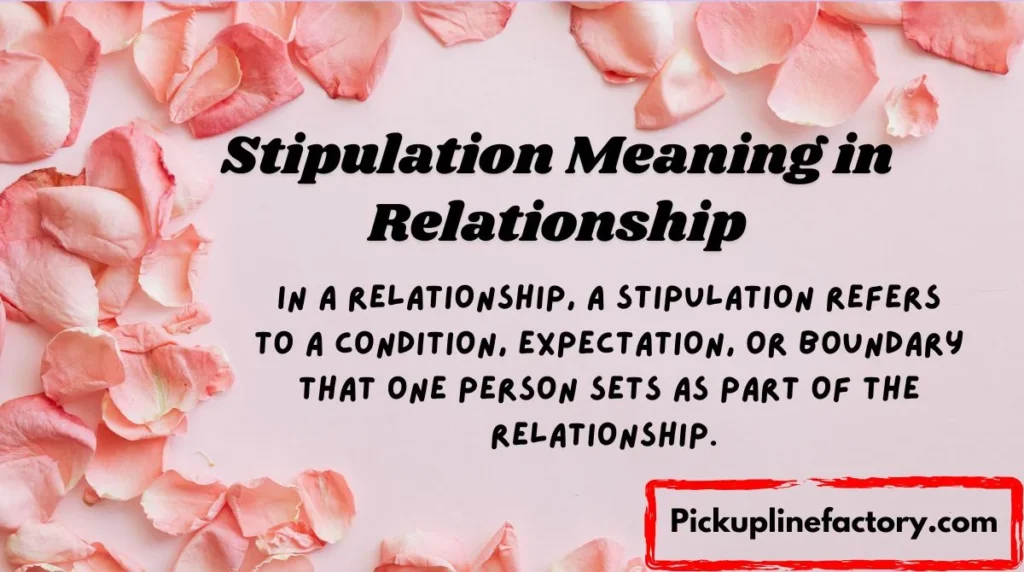 Stipulation Meaning in Relationship