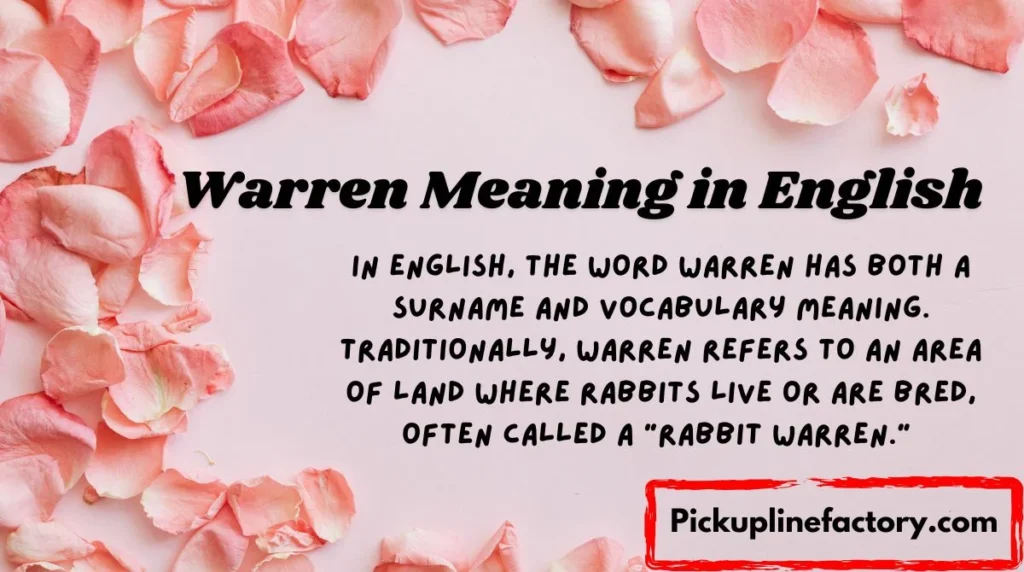 Warren Meaning in English