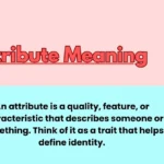 Attribute Meaning