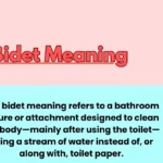 Bidet Meaning