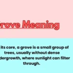 Grove Meaning