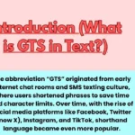 Introduction (What is GTS in Text?)