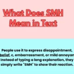 What Does SMH Mean in Text